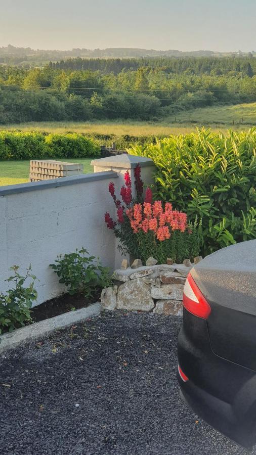 Forest View Dunmore Galway H54P897 Bed and Breakfast Exterior foto