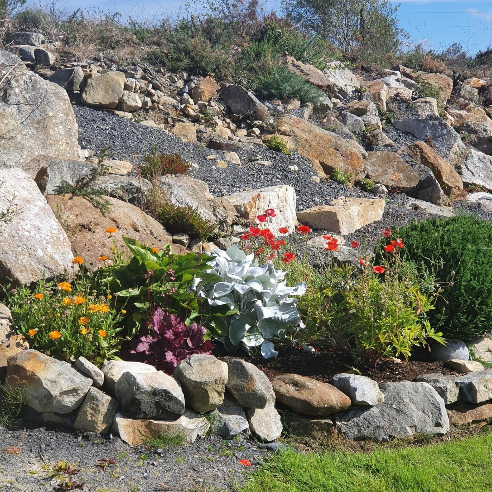Forest View Dunmore Galway H54P897 Bed and Breakfast Exterior foto